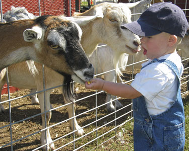 Kids Raleigh: Animal Encounters - Fun 4 Raleigh Kids