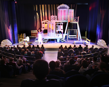 Kids Raleigh: Theaters and Performance Venues - Fun 4 Raleigh Kids