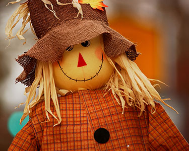 Kids Raleigh: Halloween and Fall Displays - Fun 4 Raleigh Kids