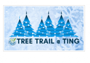 Tree Trail at Ting.png