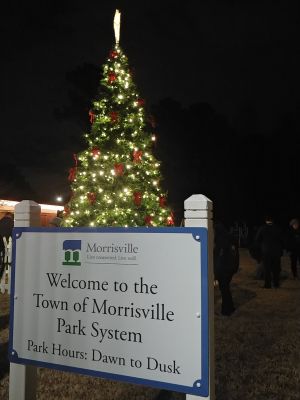 Morrisville Tree.jpg