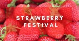 strawberry festival.jpg
