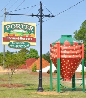 Porter Farms.jpg
