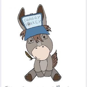 Shaggy Donkey.jpg