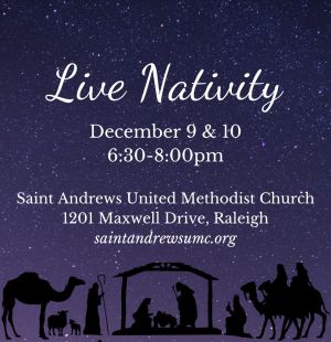 St. Andrews UMC Nativity.jpg