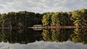 Durant Nature Preserve.jpg