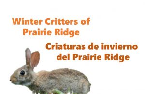 Winter Crittersr Prairire Ridge.jpg