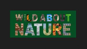 Wild about Nature Festival.jpg