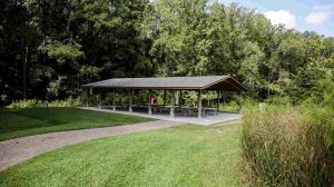 Wilkerson Nature Picnic Table.jpg