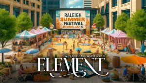 Raleigh Summer Festival.jpg