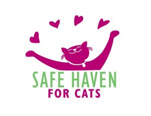 safe haven for cats.jpg