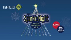 Sparkle Night.jpg