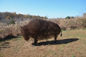 Prairie Ridge Naturalist.jpg