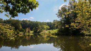 Wilkerson Nature pond.jpg