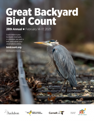 Bird Count.png