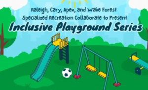 Inclusive Playground Series.png