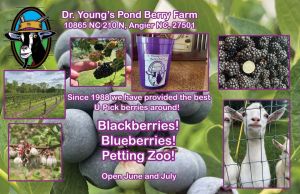 Dr. Young Pond opening.jpg