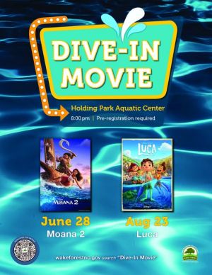 Dive In.jpg