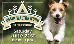 Camp Waltonwood Bark.png