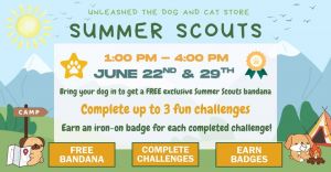 Summer Scouts.jpg