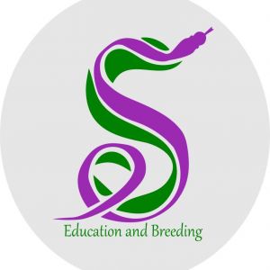 SAvvy Scales logo.jpg