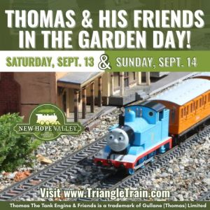 New HOpe VAlley Thomas.jpg