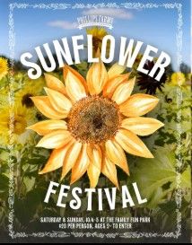 sunflower festival.jpg