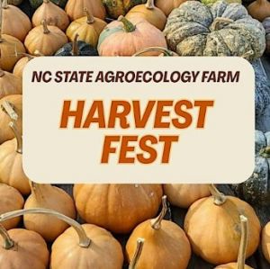 Harvest Fest.jpg