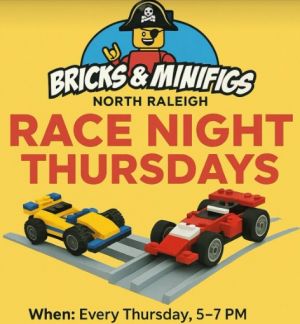 Bricks and Mini Figs N Ral Race Night.jpg