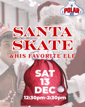 Polar Ice Santa Skate.png