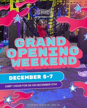 Altitude Trampoline Park.jpg