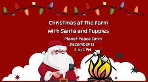 Peace Farm Xmas.jpg