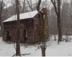 Eno River Cole Homestead.jpg