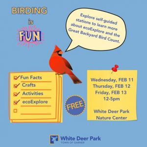 White Deer Classroom.jpg