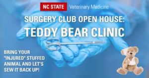 NCSU Teddy Bear Clinic.jpg