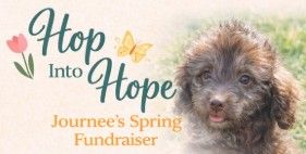 Planet Peace Hop.jpg