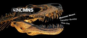 NCMNS Dino.jpg