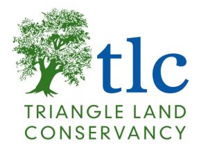 TLC.jpg