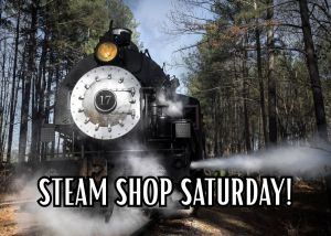 New Hope Valley Train.jpg