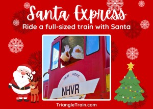 TT Santa.png