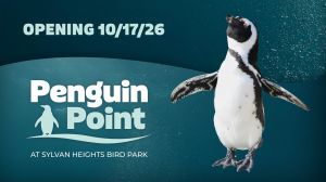 Penguin Point.jpg