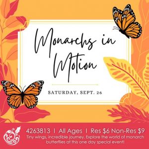 Monarchs in Motion.jpg