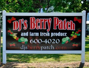 DJ's Berry Patch.jpg