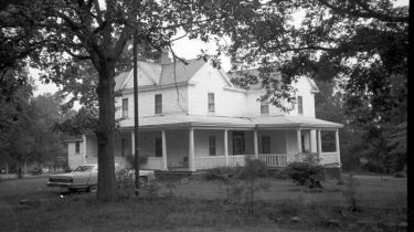 17904.jpg