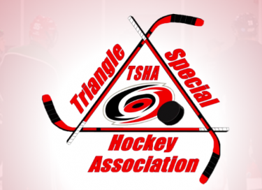TSh  Hockey Graphs