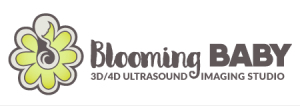 Blooming Baby 4D Ultrasound Studio and Boutique