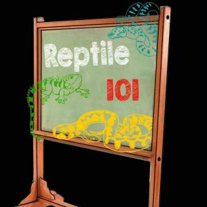 Reptile101