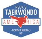 Peck's Taekwondo Summer Camp