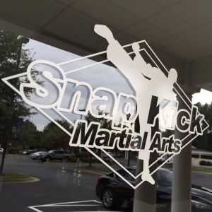 Snap Kick Martial Arts