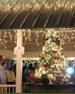 12/02 Rolesville's Holiday Tree Lighting